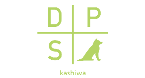 DPS Darts Plus Sounds