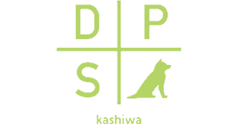 DPS Darts Plus Sounds