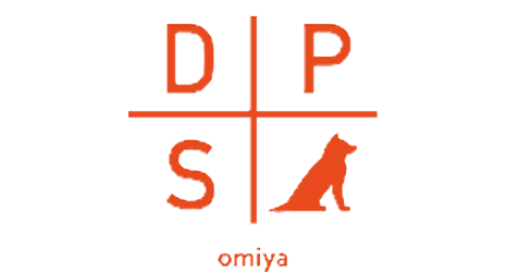 DPS Darts Plus Sounds
